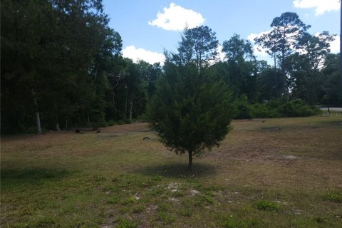 Terreno en venta en Ocala, Florida № 1295898 - foto 7