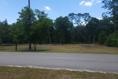 Terreno en venta en Ocala, Florida № 1295898 - foto 2