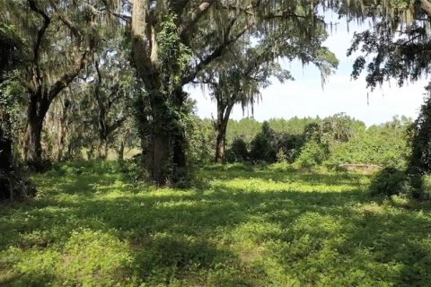 Villa ou maison à vendre à Groveland, Floride: 4 chambres, 309.64 m2 № 1338791 - photo 18