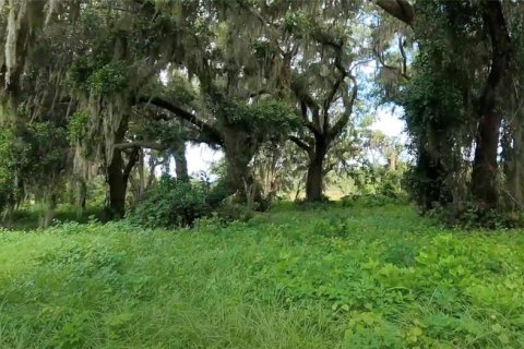 Villa ou maison à vendre à Groveland, Floride: 4 chambres, 309.64 m2 № 1338791 - photo 16