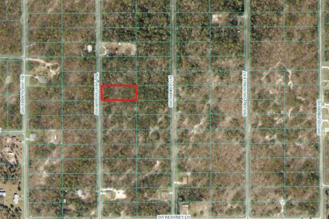 Terreno en venta en Dunnellon, Florida № 1308908 - foto 1