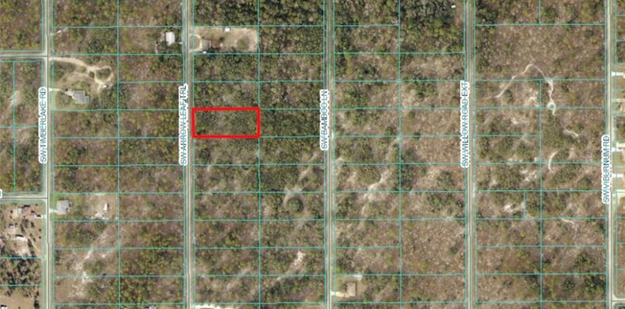 Land in Dunnellon, Florida № 1308908