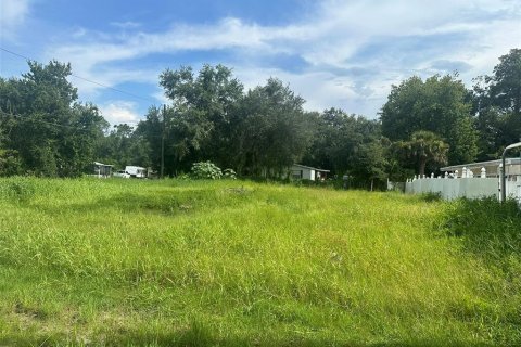 Terreno en venta en Kissimmee, Florida № 1317576 - foto 1