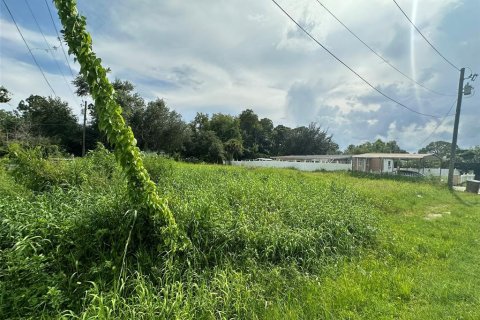 Terrain à vendre à Kissimmee, Floride № 1317576 - photo 5