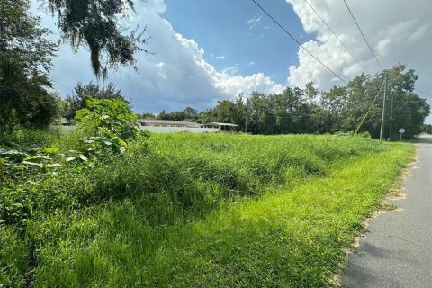 Terrain à vendre à Kissimmee, Floride № 1317576 - photo 2