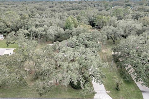 Casa en venta en Hernando, Florida, 2 dormitorios, 125.05 m2 № 1385145 - foto 8