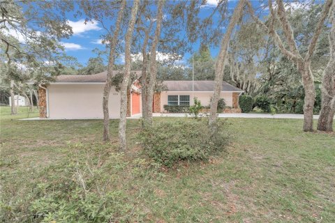 Casa en venta en Hernando, Florida, 2 dormitorios, 125.05 m2 № 1385145 - foto 1