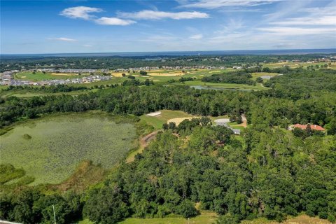 Land in Montverde, Florida № 1341573 - photo 22