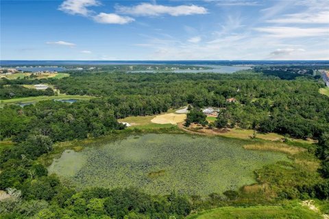 Land in Montverde, Florida № 1341573 - photo 17