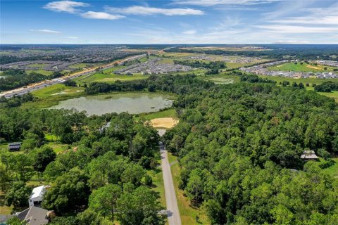 Land in Montverde, Florida № 1341573 - photo 27