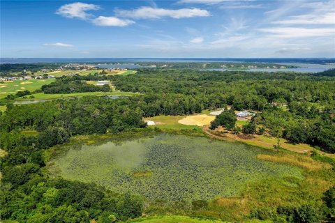 Land in Montverde, Florida № 1341573 - photo 19