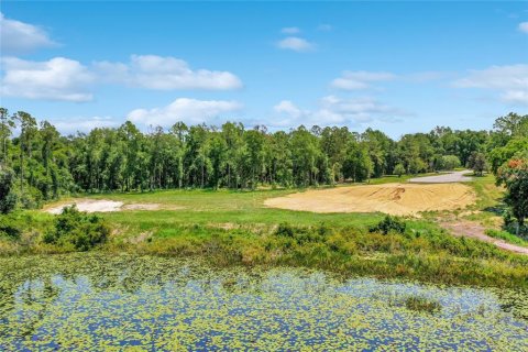 Land in Montverde, Florida № 1341573 - photo 10