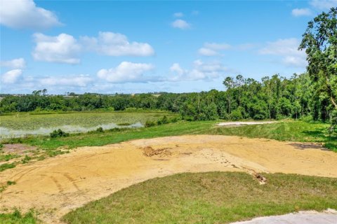 Land in Montverde, Florida № 1341573 - photo 1