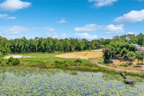 Land in Montverde, Florida № 1341573 - photo 5