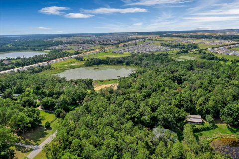 Land in Montverde, Florida № 1341573 - photo 28