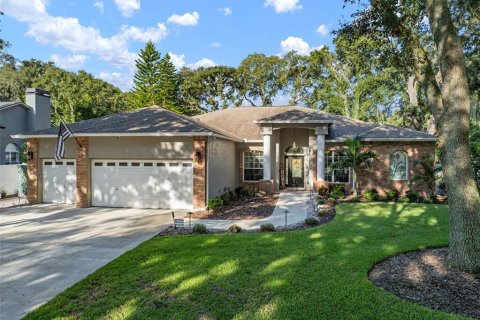 House in Valrico, Florida 4 bedrooms, 236.71 sq.m. № 1393830 - photo 1