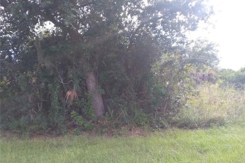 Land in Port Charlotte, Florida № 651115 - photo 2