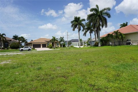 Terrain à vendre à Punta Gorda, Floride № 1356342 - photo 6