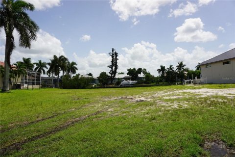 Land in Punta Gorda, Florida № 1356342 - photo 2