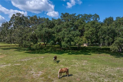 Land in New Port Richey, Florida № 1338603 - photo 26