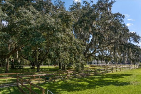 Land in New Port Richey, Florida № 1338603 - photo 22