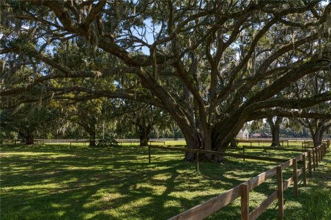 Land in New Port Richey, Florida № 1338603 - photo 21