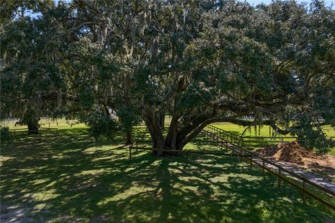 Land in New Port Richey, Florida № 1338603 - photo 28