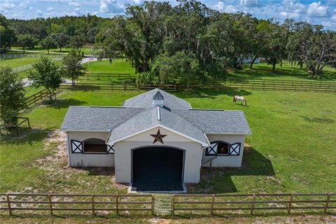 Land in New Port Richey, Florida № 1338603 - photo 1