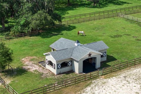 Land in New Port Richey, Florida № 1338603 - photo 16