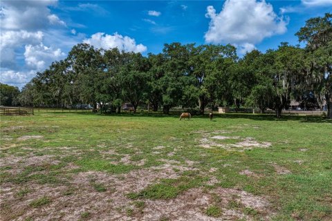 Land in New Port Richey, Florida № 1338603 - photo 20