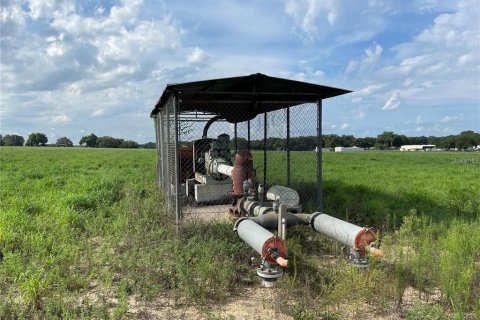 Terreno en venta en Umatilla, Florida № 1349132 - foto 9