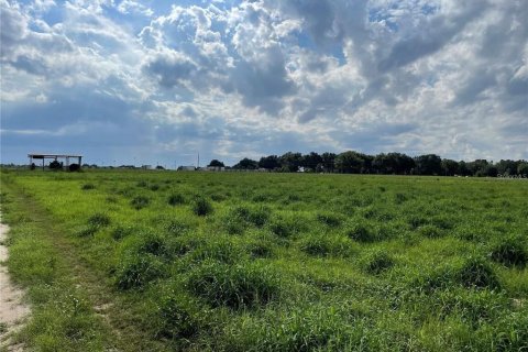 Terrain à vendre à Umatilla, Floride № 1349132 - photo 6