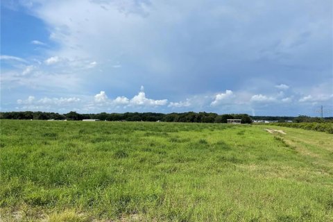 Terrain à vendre à Umatilla, Floride № 1349132 - photo 4