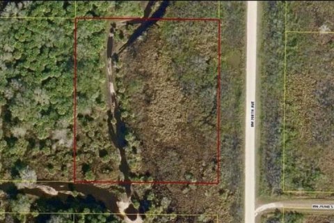 Land in Okeechobee, Florida № 787959 - photo 1