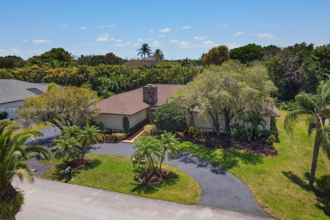 Villa ou maison à vendre à Palmetto Bay, Floride: 4 chambres, 272.39 m2 № 1147638 - photo 1