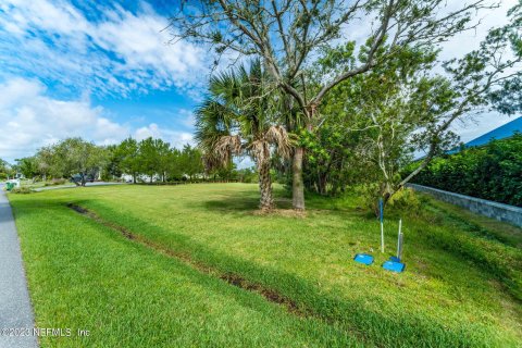 Terreno en venta en Saint Augustine, Florida № 774812 - foto 14