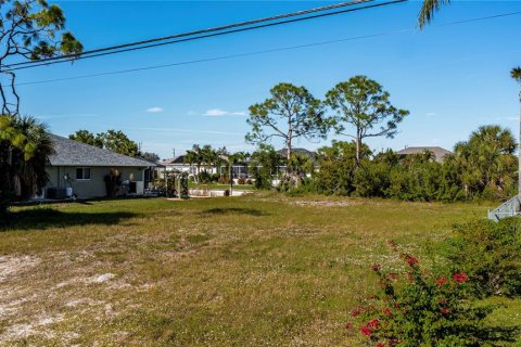 Land in Cape Coral, Florida № 1386513 - photo 19