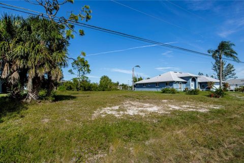 Land in Cape Coral, Florida № 1386513 - photo 21