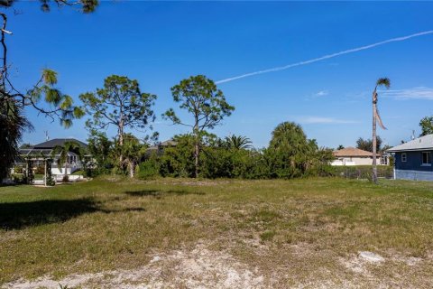 Land in Cape Coral, Florida № 1386513 - photo 20