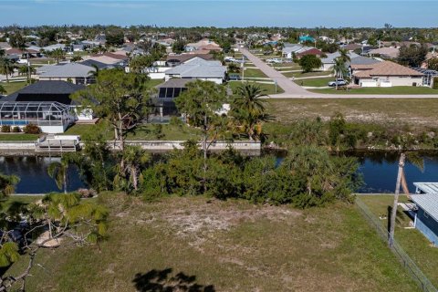 Land in Cape Coral, Florida № 1386513 - photo 18