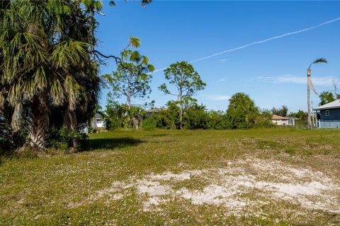 Land in Cape Coral, Florida № 1386513 - photo 15