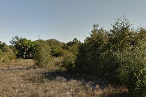 Купить земельный участок в Лихай-Эйкерс, Флорида № 978409 - фото 1