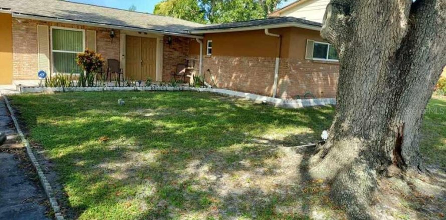 House in Tampa, Florida 3 bedrooms, 117.61 sq.m. № 1342606