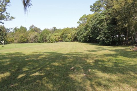 Terreno en venta en Williston, Florida № 1400627 - foto 6