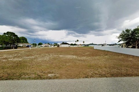 Land in Cape Coral, Florida № 1316148 - photo 2