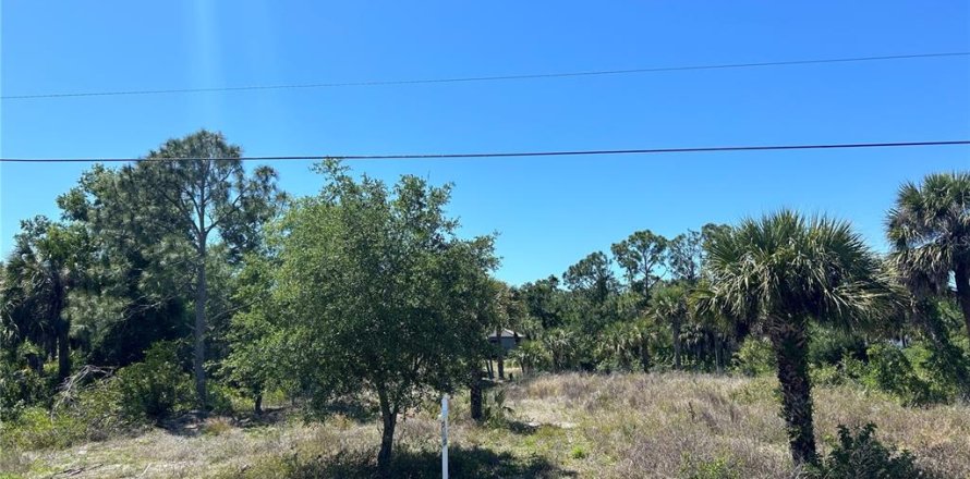 Terrain à Port Charlotte, Floride № 1109815