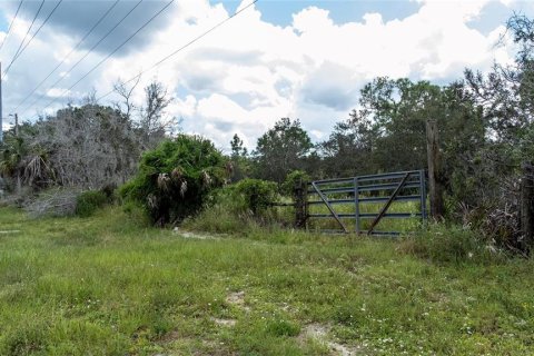 Terrain à vendre à Sebring, Floride № 730985 - photo 15