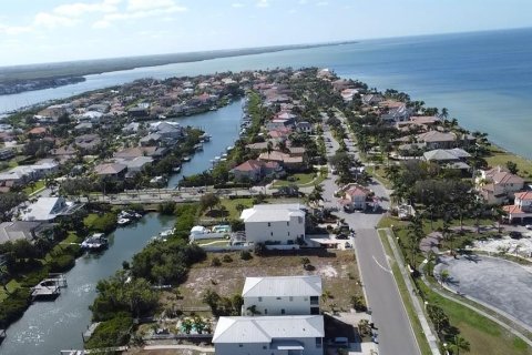 Terreno en venta en Apollo Beach, Florida № 1356207 - foto 10