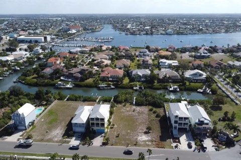 Land in Apollo Beach, Florida № 1356207 - photo 11