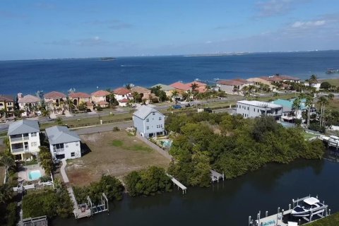 Terreno en venta en Apollo Beach, Florida № 1356207 - foto 6